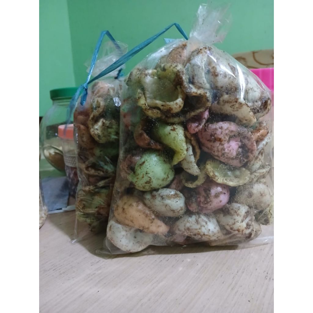 

antor glopot khas tegal 250gr