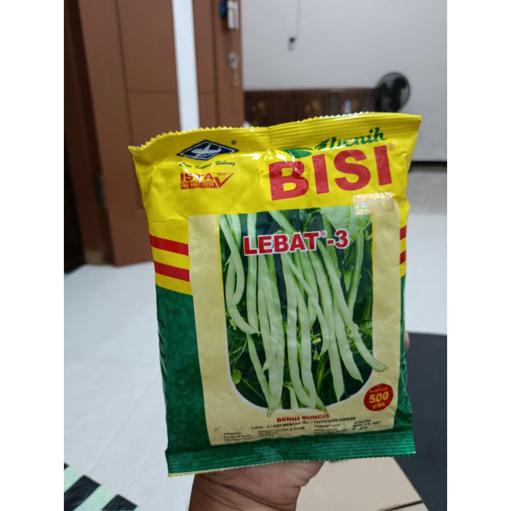 Benih buncis LEBAT 3