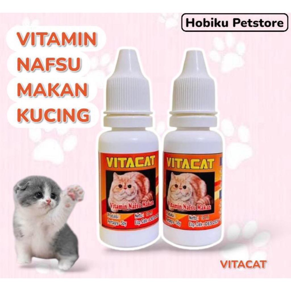 Obat Nafsu Makan Kucing Penambah Berat Badan Kucing Vitamin Nafsu Makan Kucing Vitacat