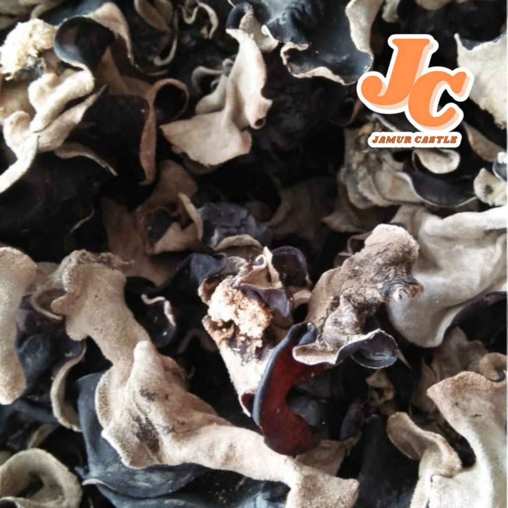 

1kg Jamur kuping hitam/jamur kuping kering kualitas sedang
