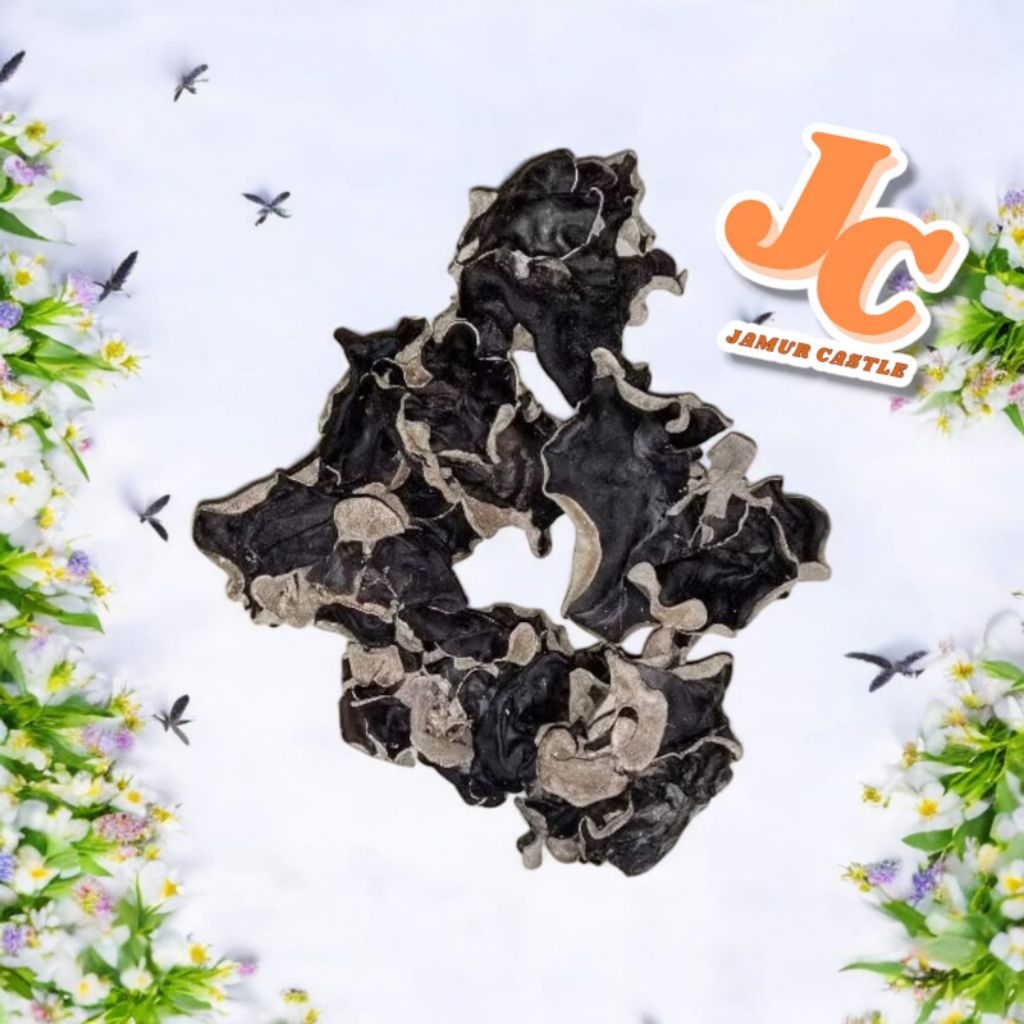 

Jamur kuping kering hitam super 1kg