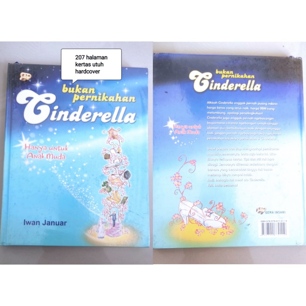 Preloved Buku Bekas Original Bukan Pernikahan Cinderella