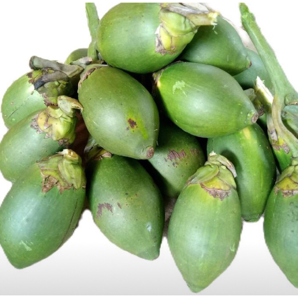 

Buah Pinang Muda/Buah Jambe Per 1kg Presh