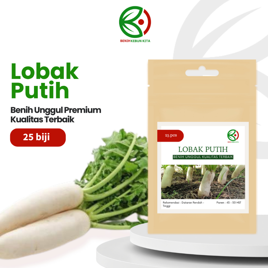 Benih Lobak Putih  Benih Sayuran Lobak Putih  White Raddish
