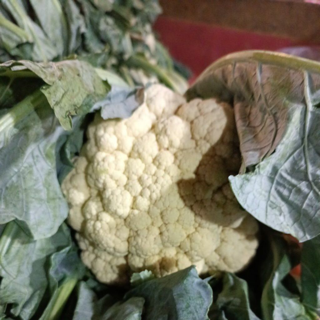 

burkolsuper