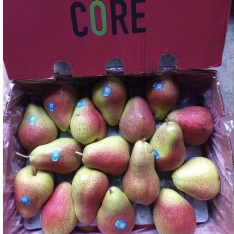 

Buah pear forelle Afrika fresh high quality 1 kg
