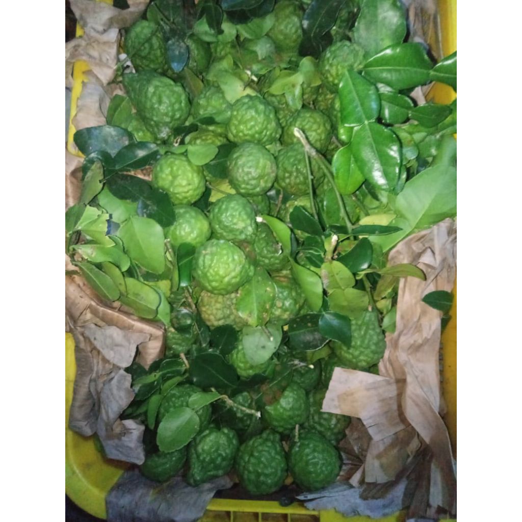 

BUAH JERUK PURUT CANTIK SEGER FREES HIJAU PER 1 PCS