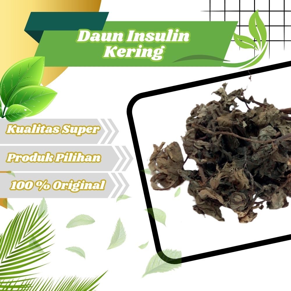 

Jamu Herbal Tradisional Daun Insulin/Yakon kering Untuk Diabetes