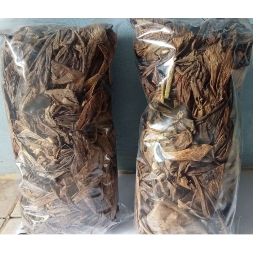 

Daun ekor naga kering organik per 2 bungkus-az