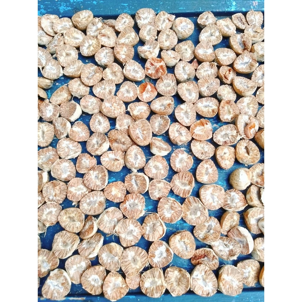 

biji jambe kering