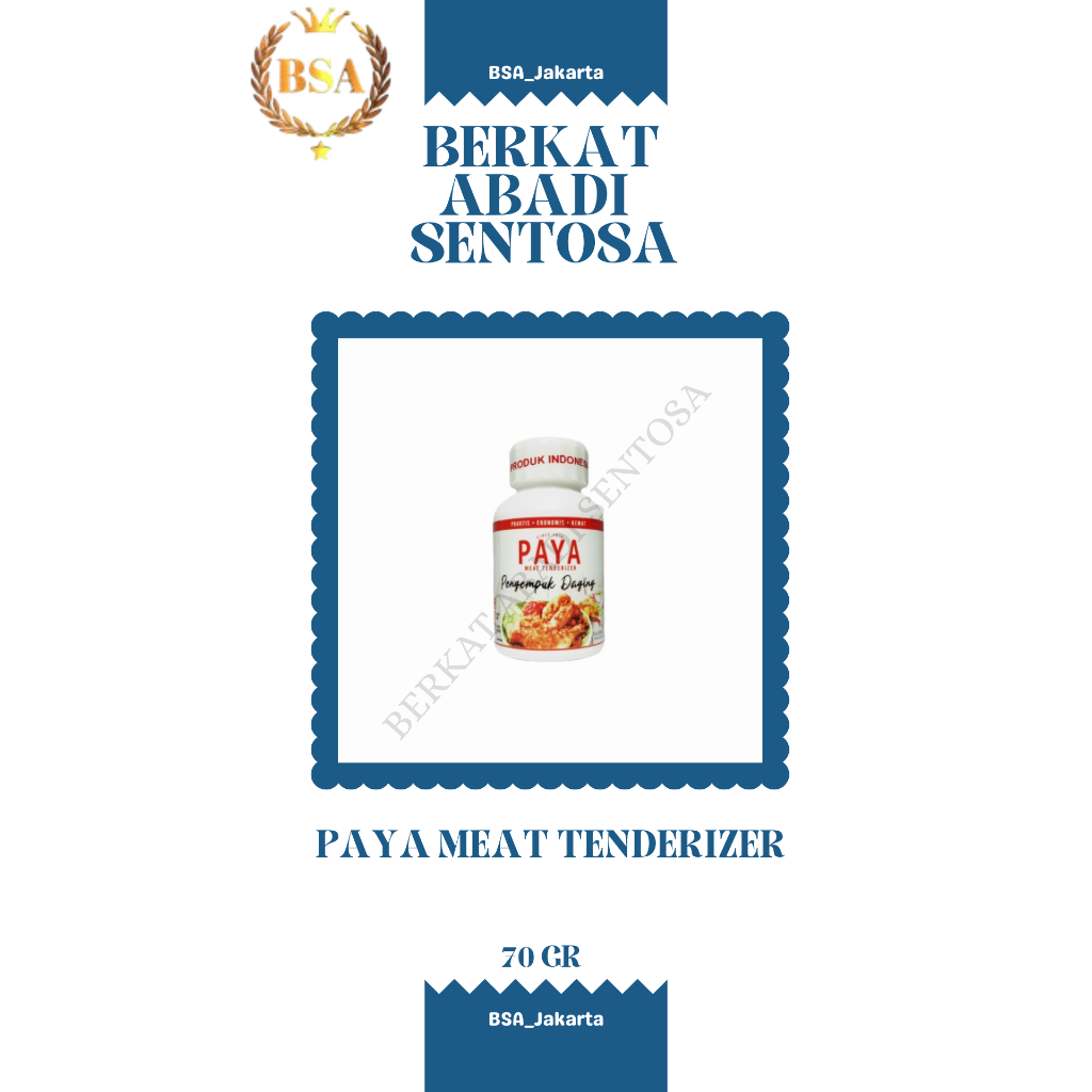 

PAYA MEAT TENDERIZER (70 GR)
