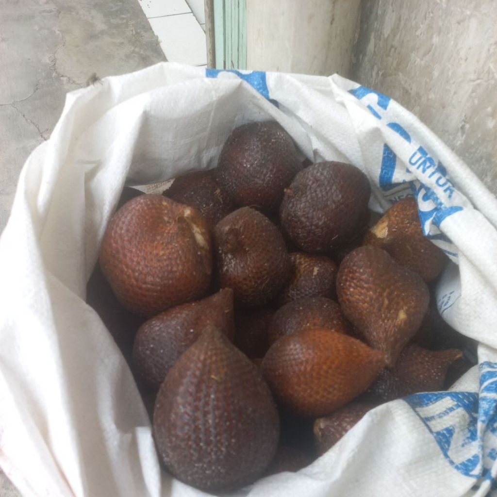

Salak Super Sidempuan ( buah dua ) / ½ kg