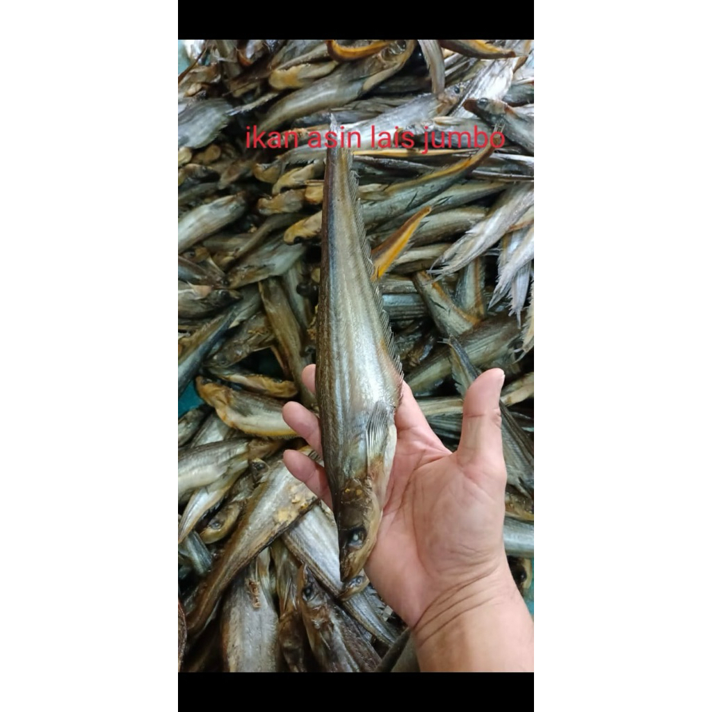 

ikan asin Lais