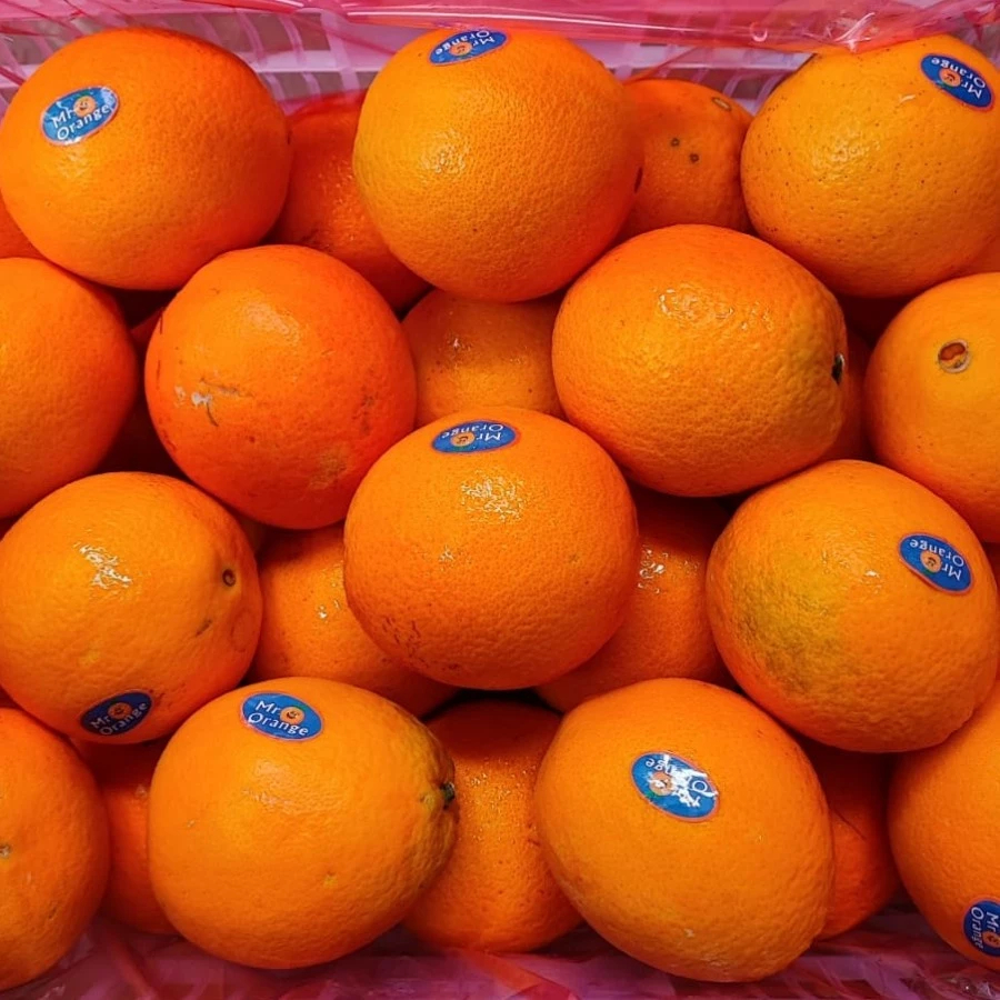 

Buah Jeruk Wogan Fresh Impor Berkualitas