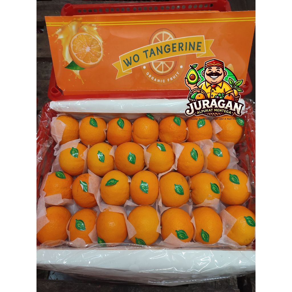 

Jeruk Mandarin Wokam / Jeruk Mandarin Wogan / Buah Jeruk Wokam Wogan Fresh