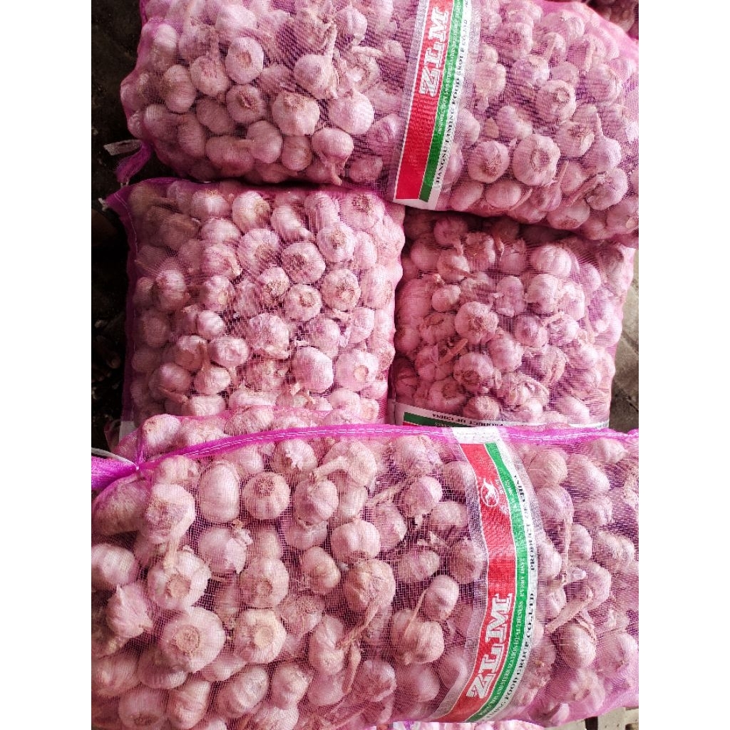 

Bawang Putih Sico Kotor(Berkulit Luar)