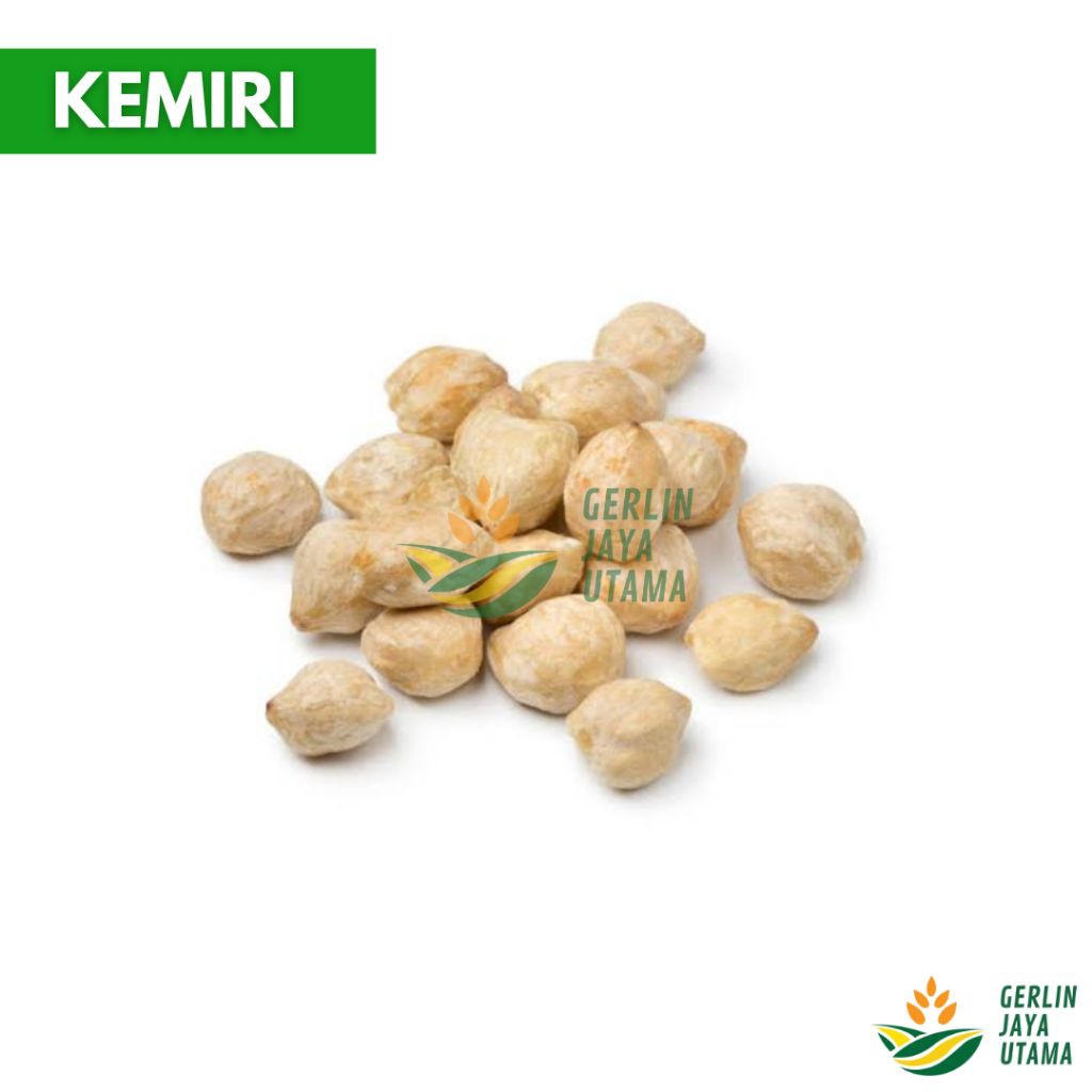 

(1Kg/500Gram/250Gram) Kemiri Putih Bulat Utuh