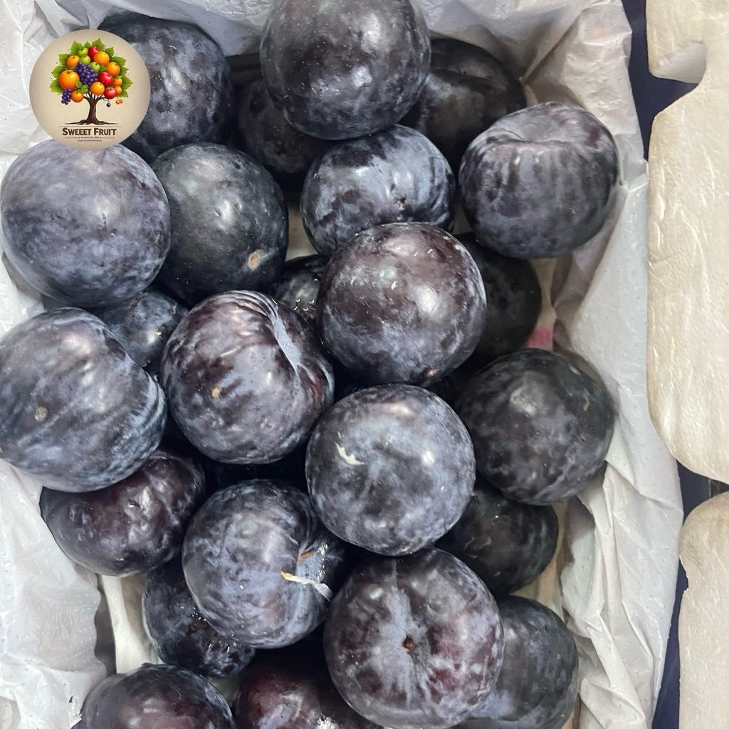 

Plum black import | Buah Plum black Fresh 0,5kg