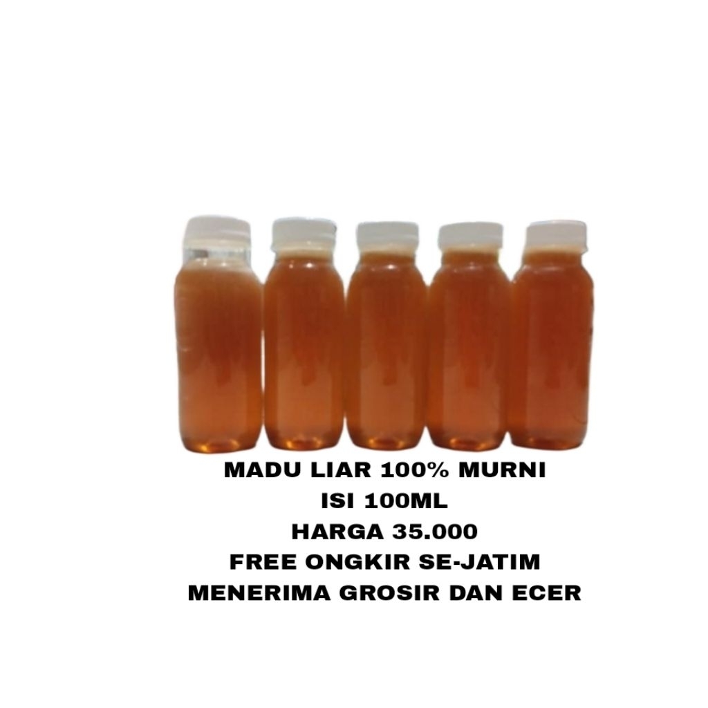 

Madu Lebah Liar 100% Asli