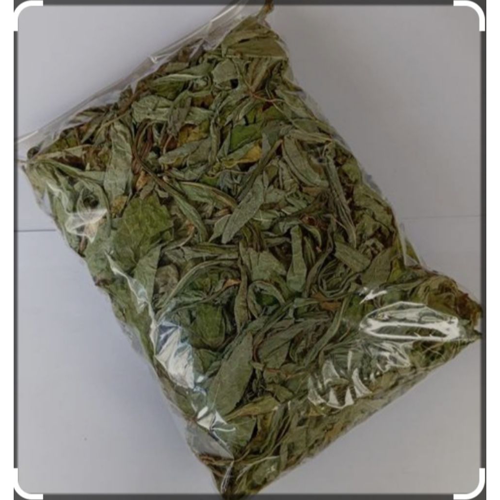 

daun tempuyung kering/daun camawak kering 100gr