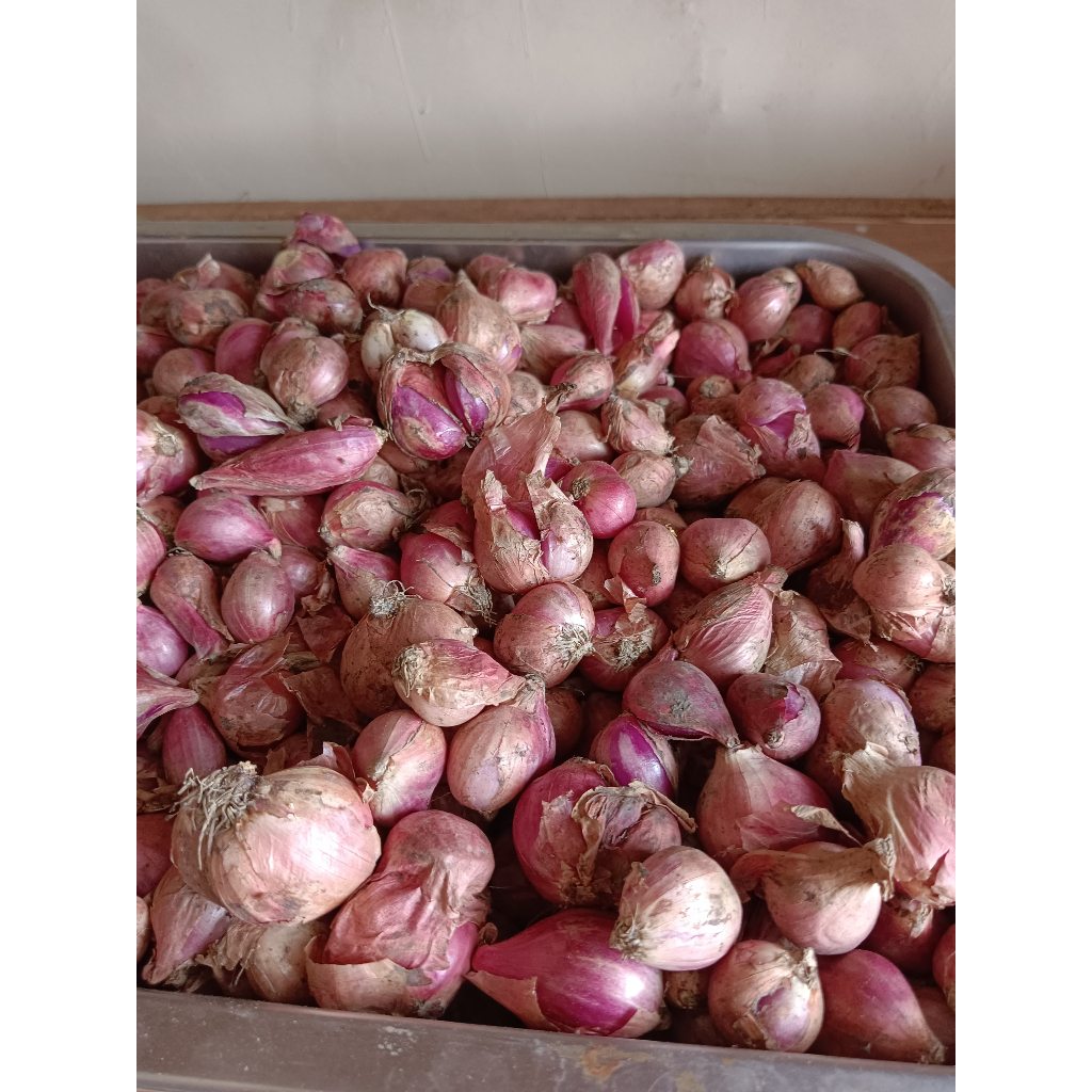 

Bawang Merah Brebes 500 gr