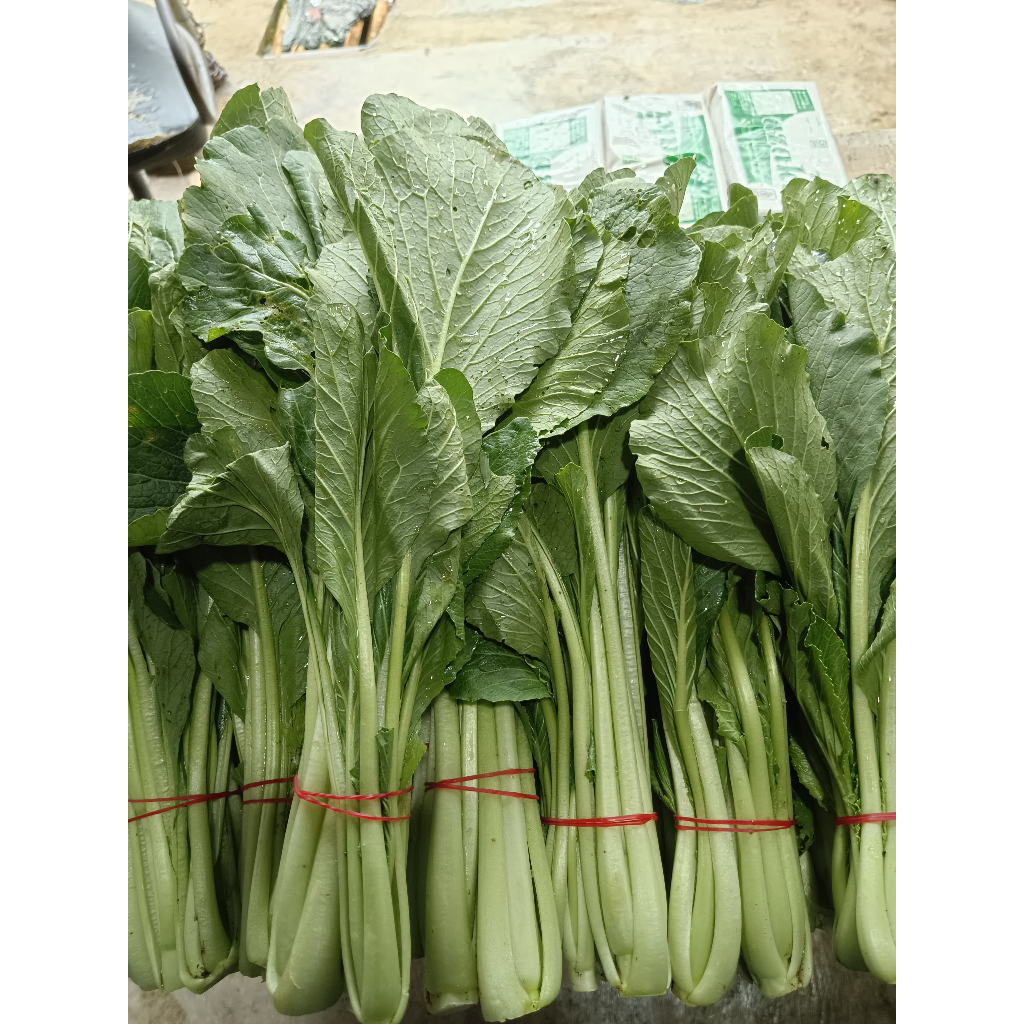 

Sayur Caisim Segar 500 gr