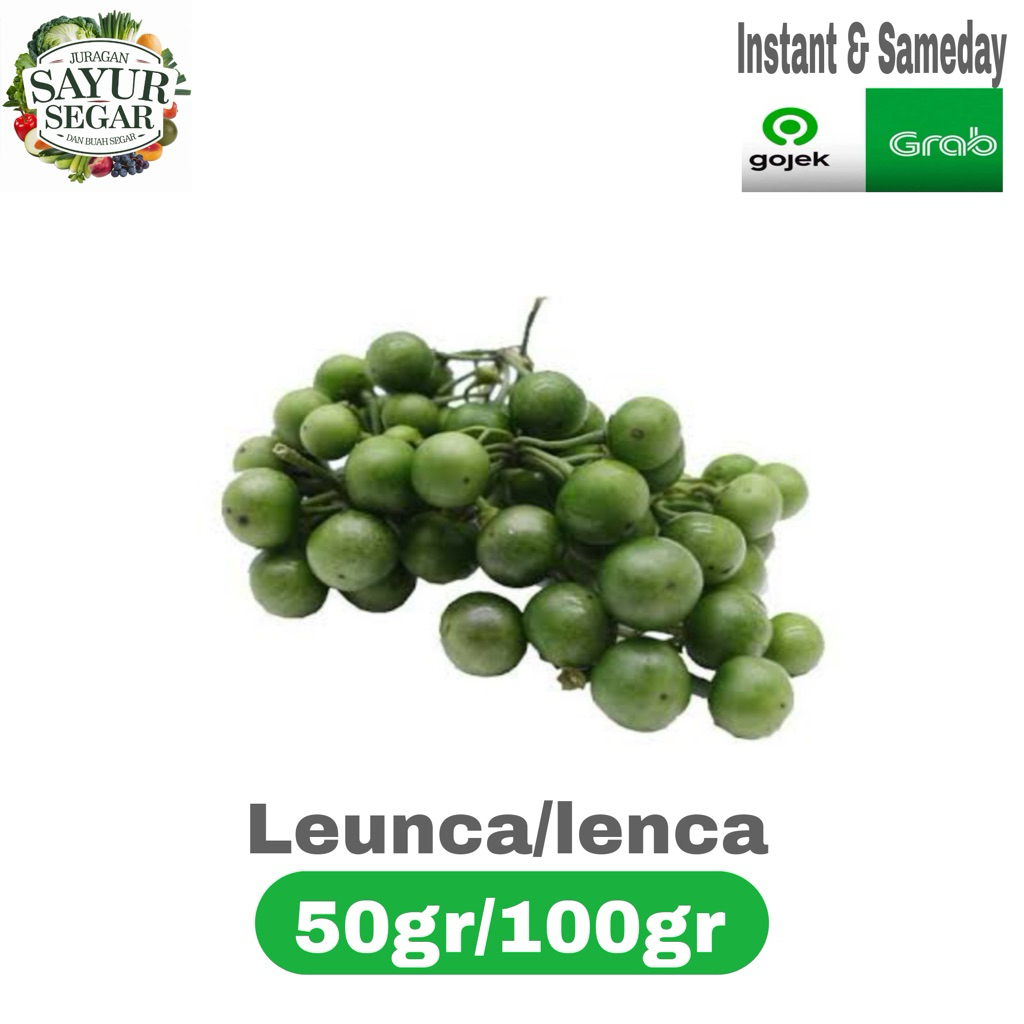 

Leunca/Lenca 50gr/100gr murah instant