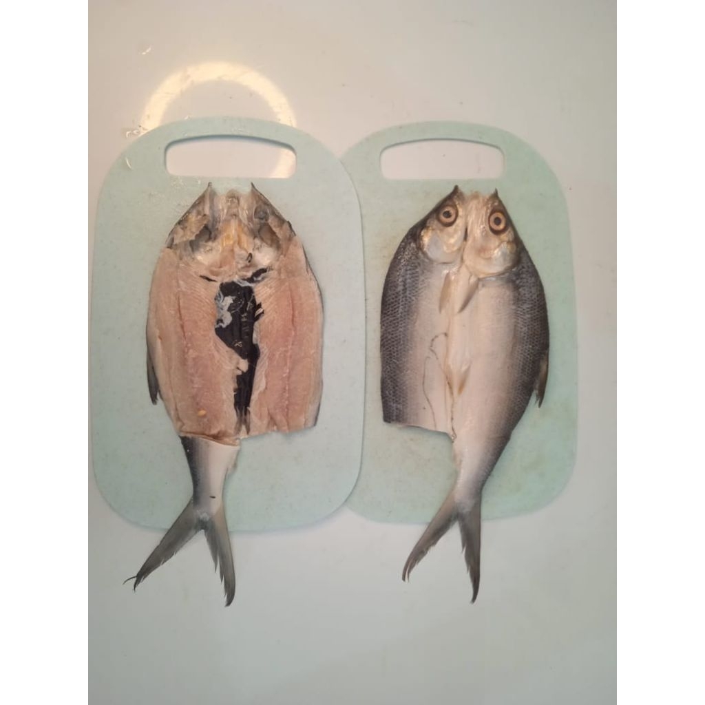 

bandeng marinasi bakar