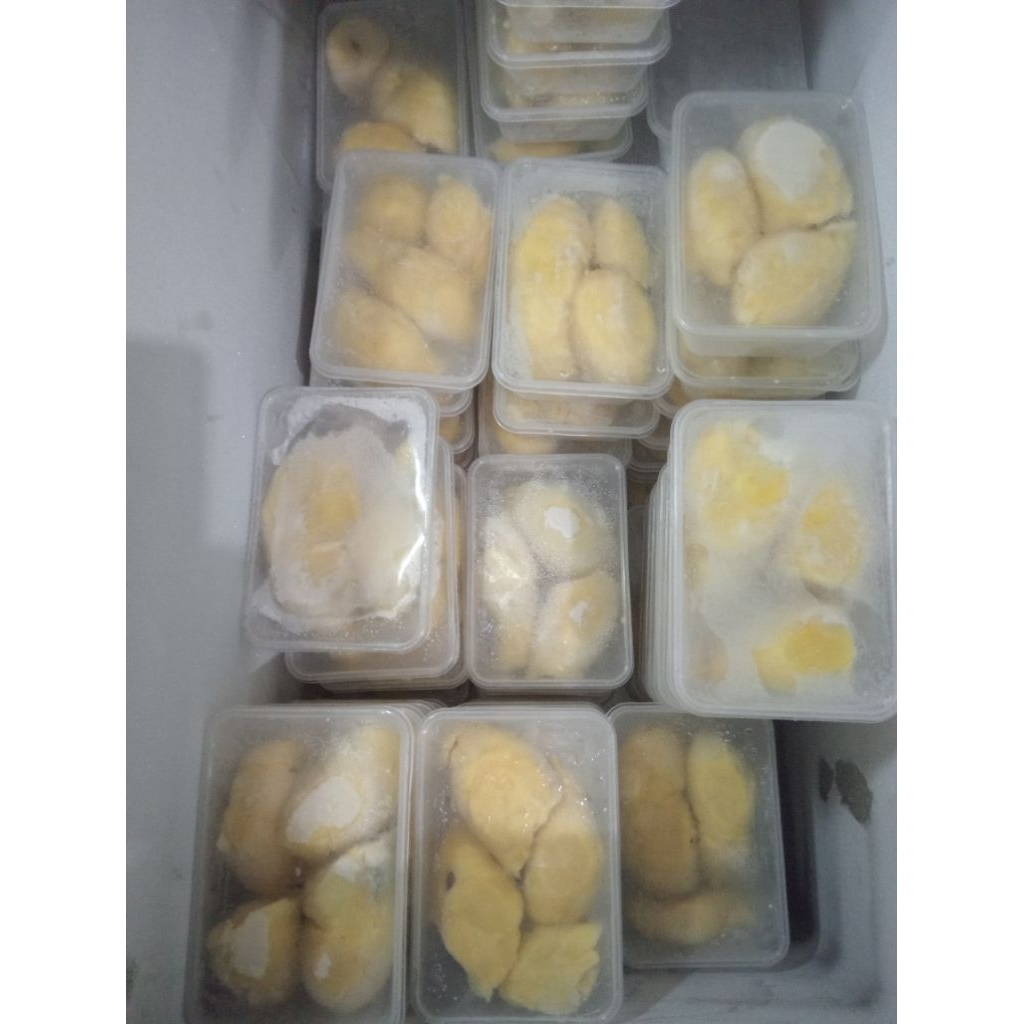 

Durian Montong Pamona Pendolo Sulawesi Tengah