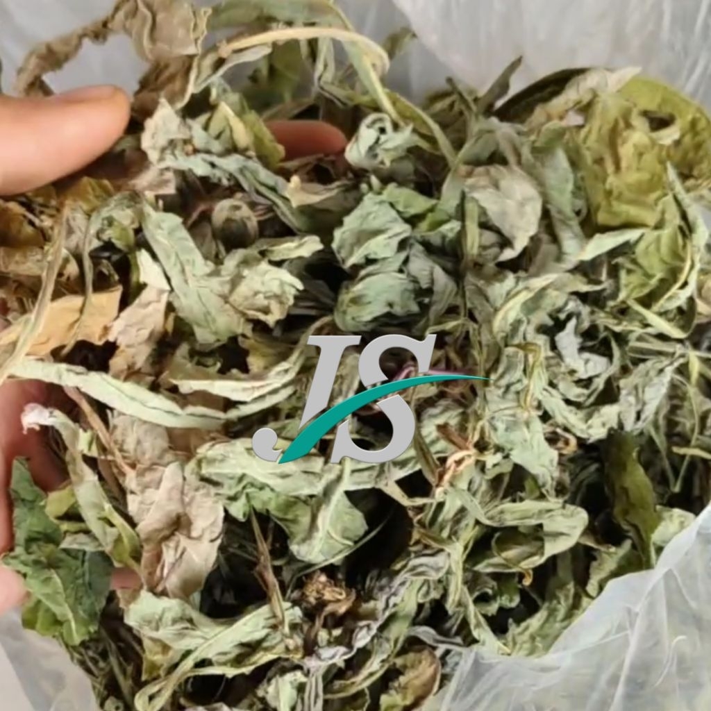 

Daun Tempuyung Kering 250.grm / Tanaman Daun Tempuyung