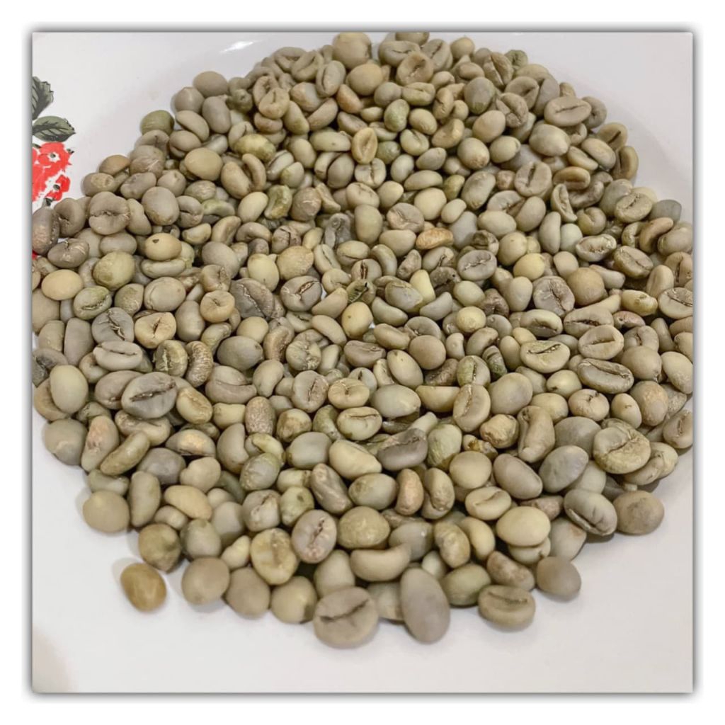 

Kopi Robusta Greenbean Asli 1kg -Langsung dari petani -cocok untuk Roaster UMKM