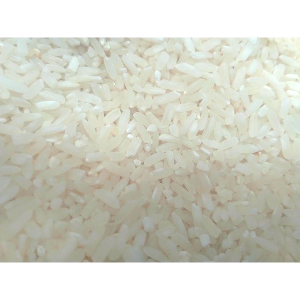 

Beras lokal 1kg