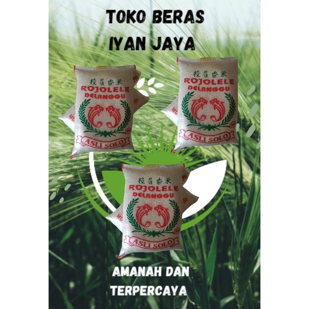 

BERAS ROJOLE 10 kg Delanggu berkualitas