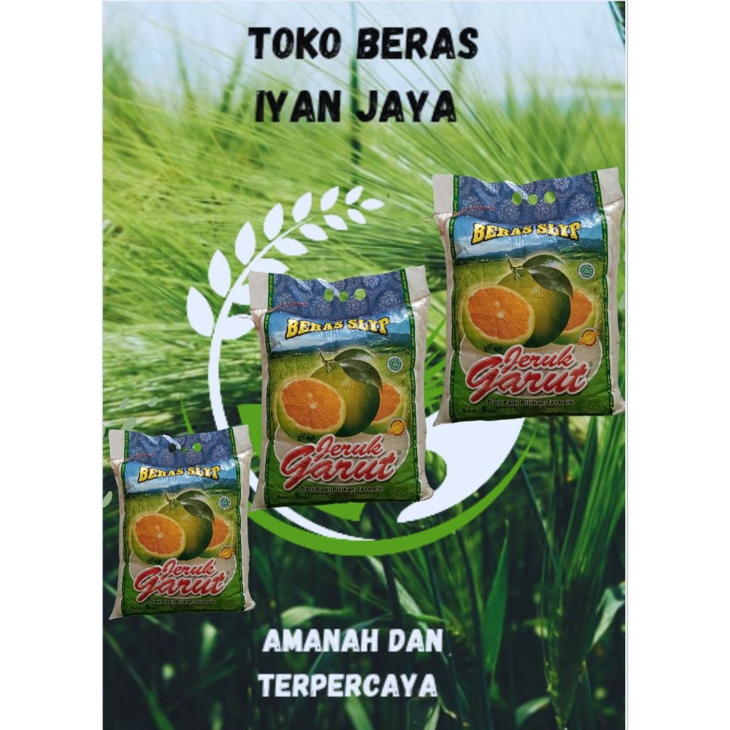 

beras jeruk Garut 5kg beras slyp dari padi pilihan terbaik