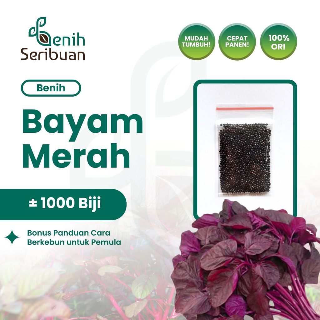Benih Seribuan - 1000 Benih Sayuran Bayam Merah