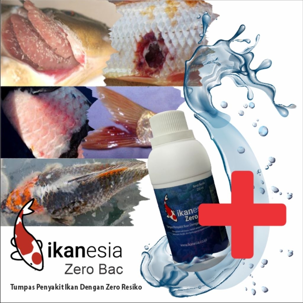 Obat Ikan Koi, Mas Koki, Arwana, Channa Zero Bac 250 ml Ampuh untuk Penyakit Ikan