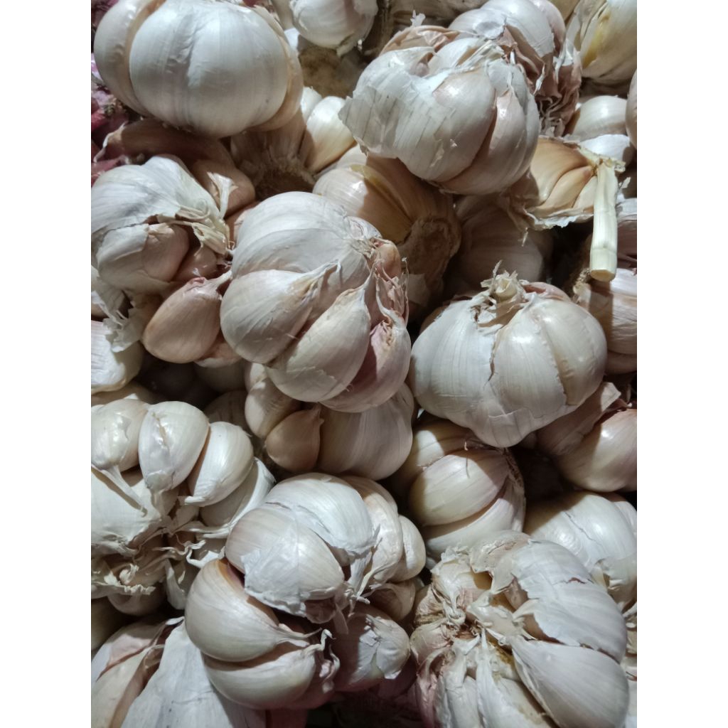

Bawang putih 1000gr