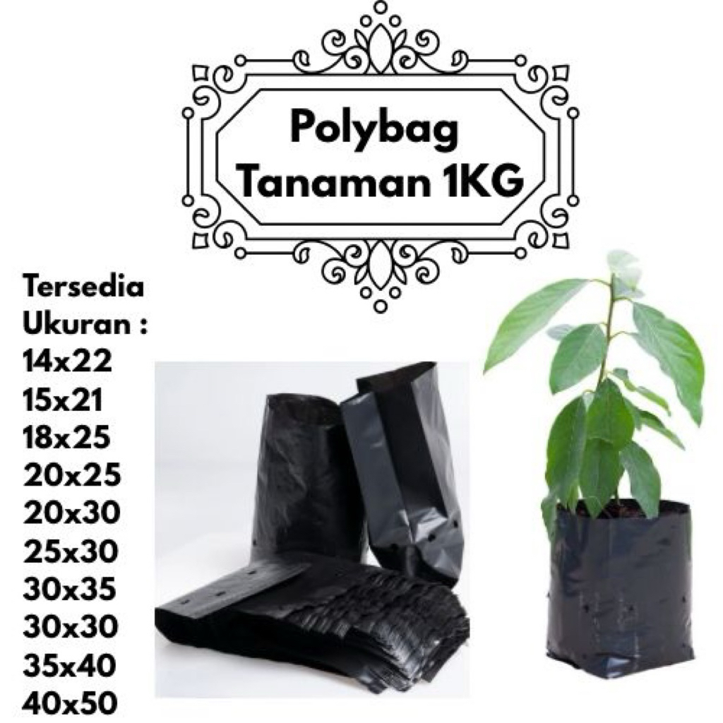 Polybag Tanaman Hitam Kuat Tebal | Polybeg Tanaman 1kg | Ukuran 14x22 15x21 18x25 20x25 20x30 25x30 