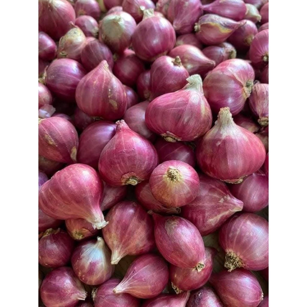 

Bawang merah Probolinggo bersih kering 1kg