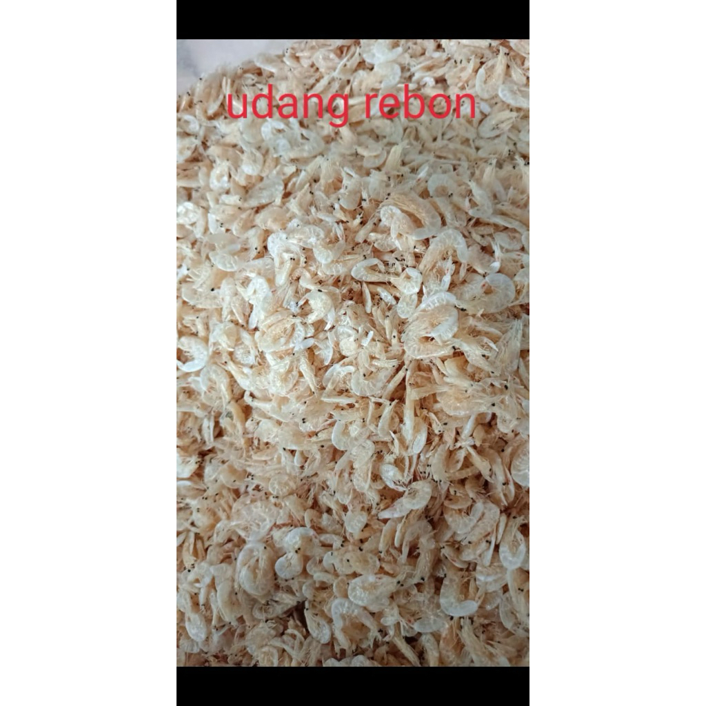 

udang reborn