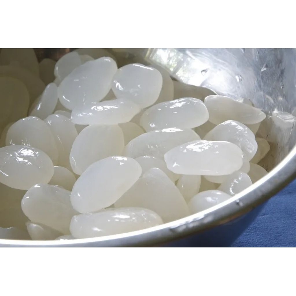 

kolang kaling 1kg caruluk kolang kaling fresh