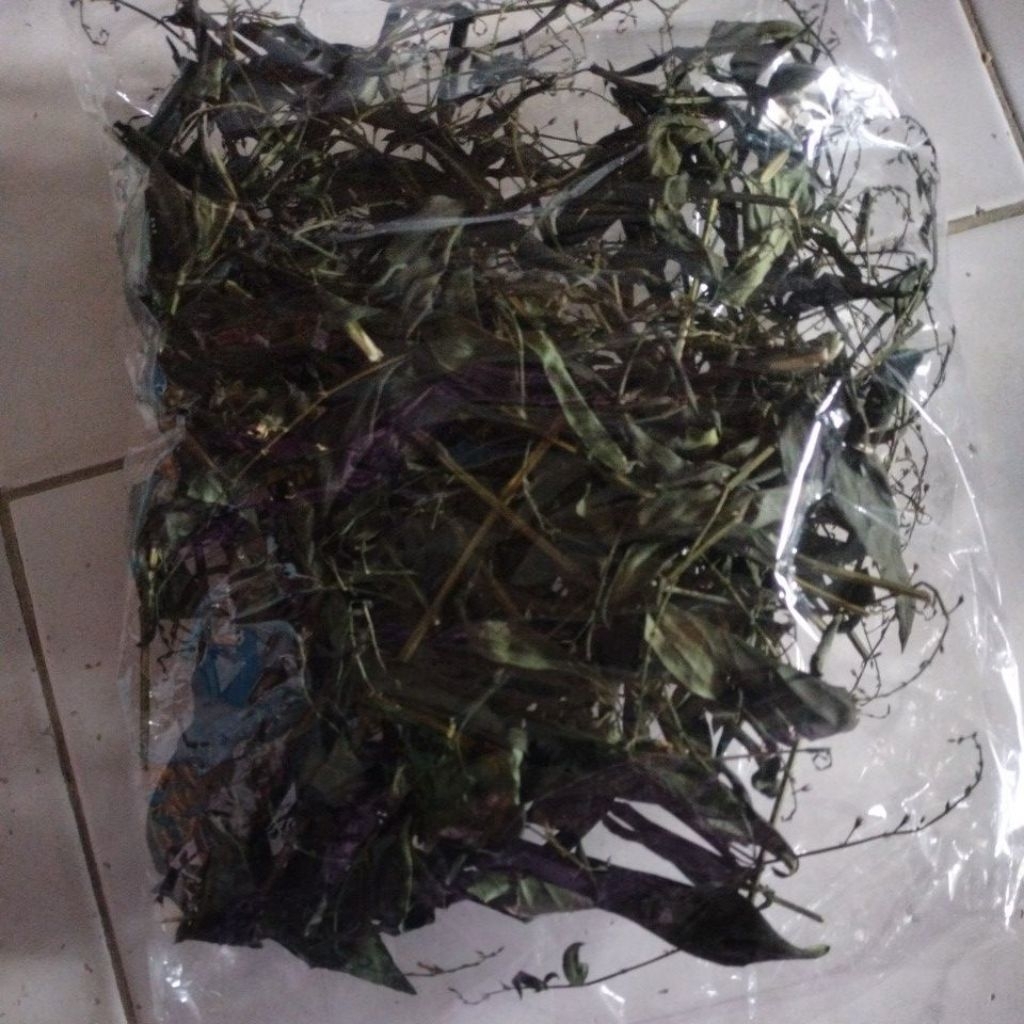 

Sambiroto Sambiloto kering