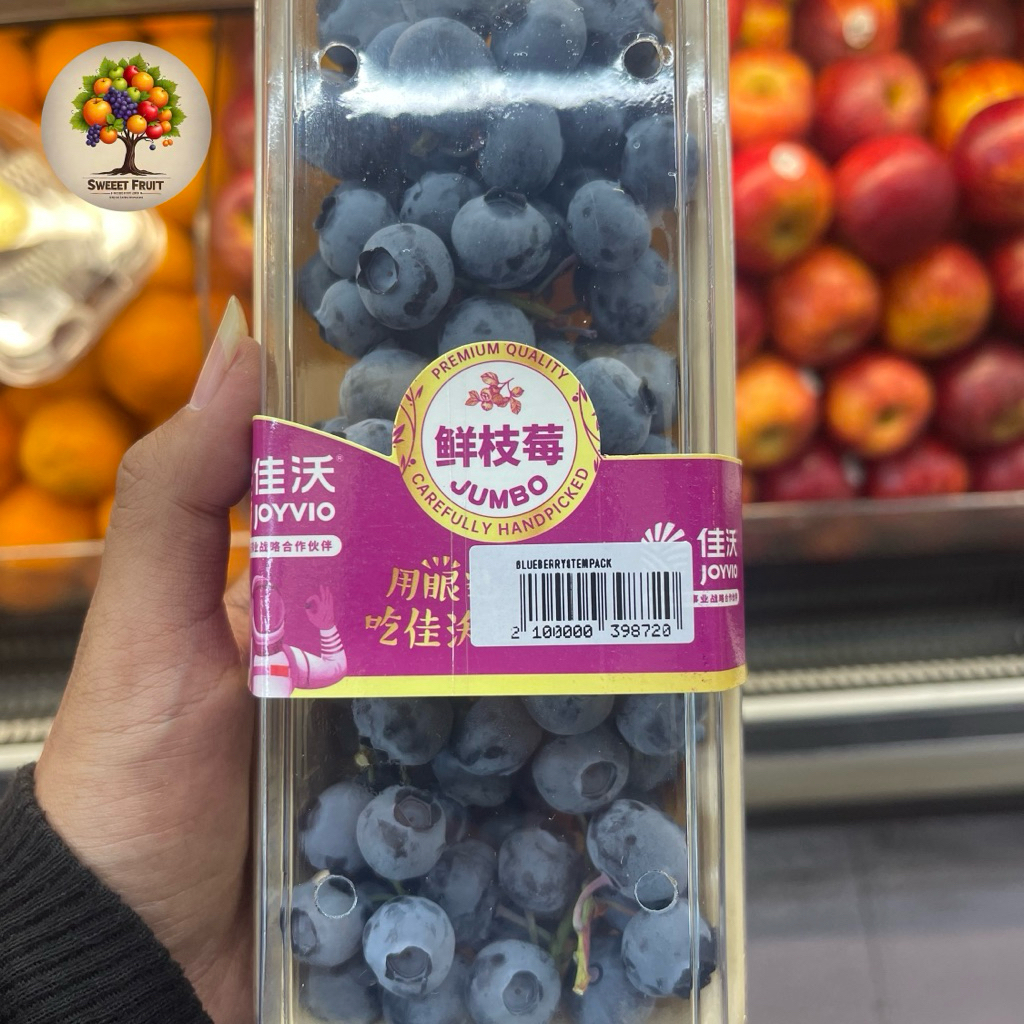 

Blueberry Tangkai Joyvio | Blueberry Jumbo Joyvio 200gram | Pack