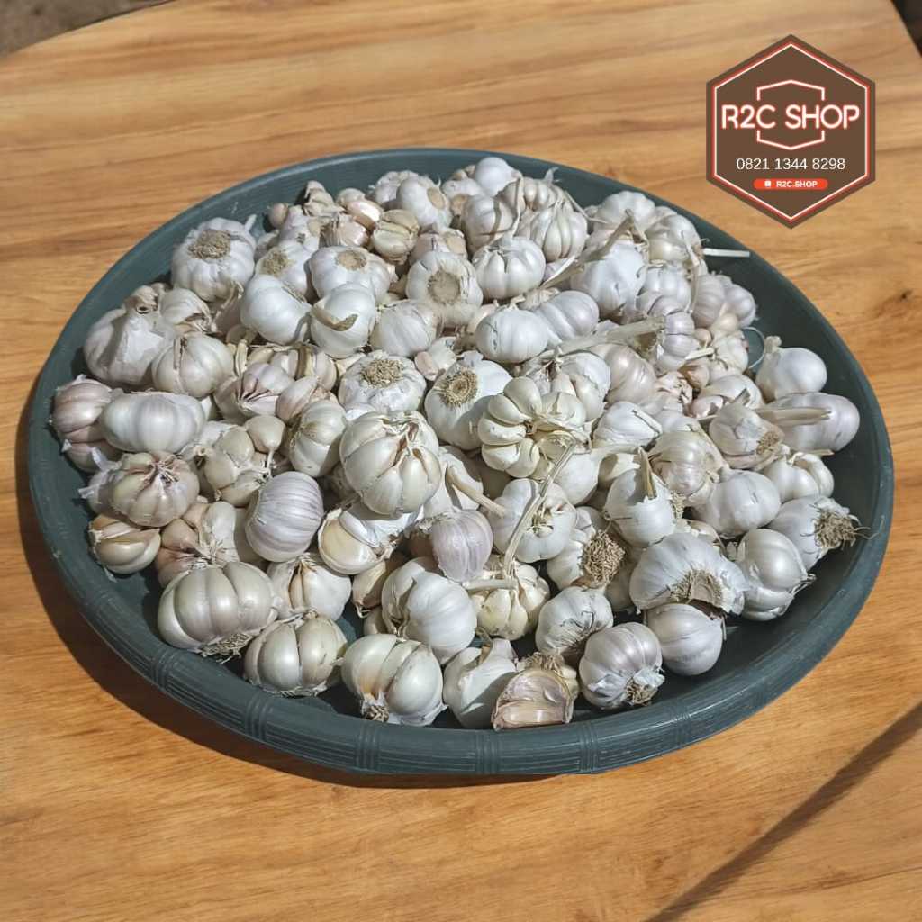 

Bawang Putih Honan 250/500/1000 gram Isi Bersih Fresh Berkualitas Murah Grosir Ecer Sekilo