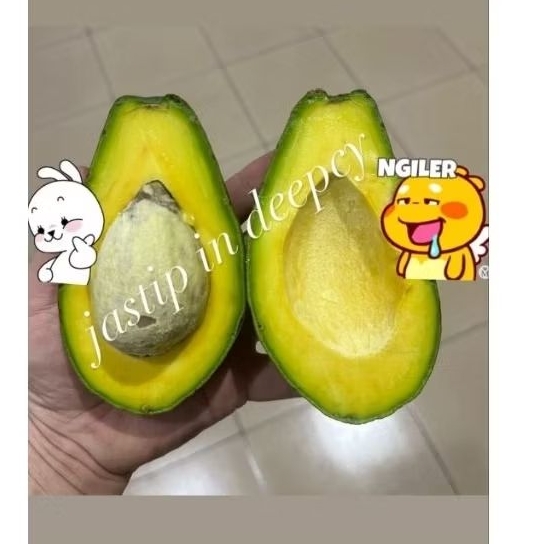 

[READY STOCK] ALPUKAT LILIN SINGKAWANG JUMBO | ALPUKAT PREMIUM | BUAH ALPUKAT | ALPUKAT JUMBO | ALPUKAT LILIN SINGKAWANG