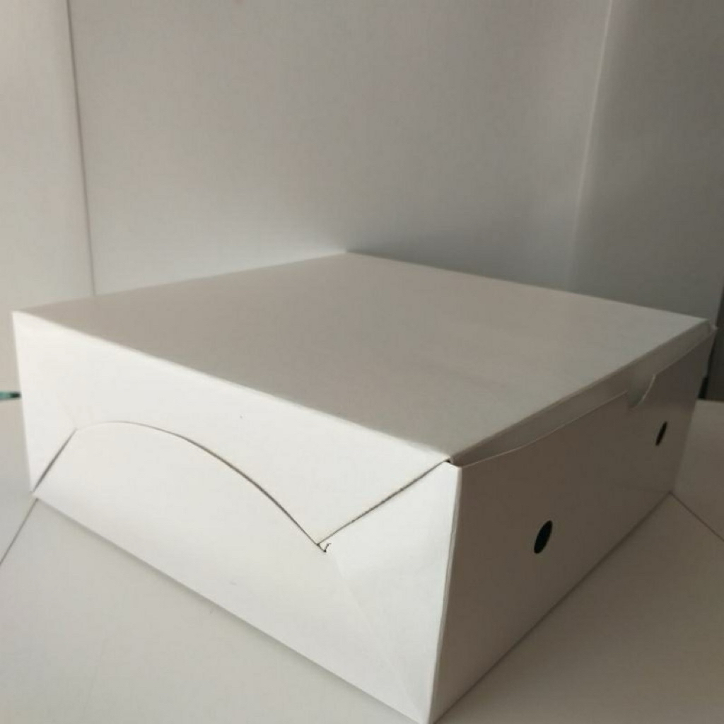 kotak nasi catering/kotak nasi/kotak makanan uk.18 putih polos