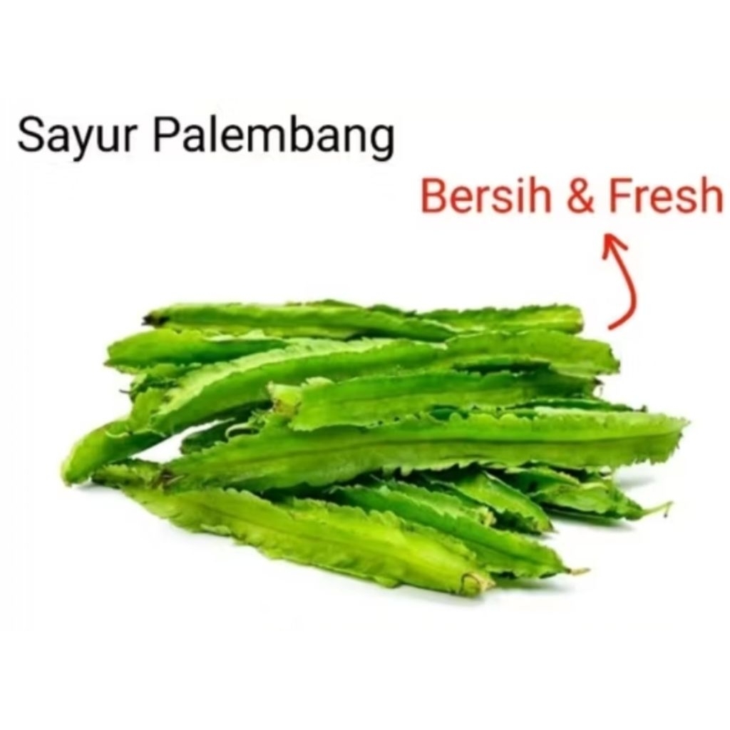 

KECIPIR / IKAT - Palembang