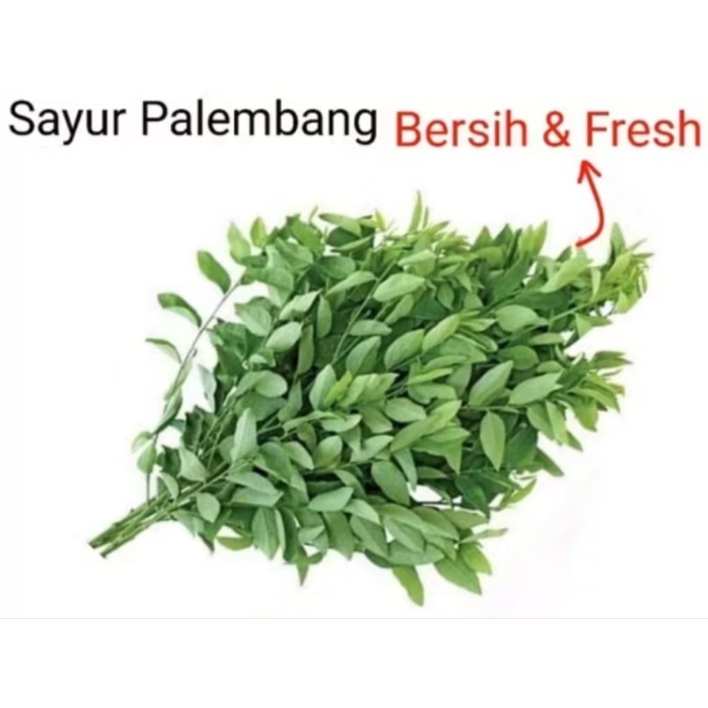 

SAYUR KATU / IKAT - Palembang