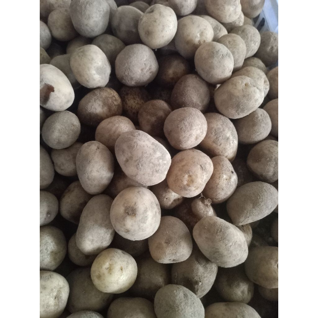 

kentang Dieng 500gram