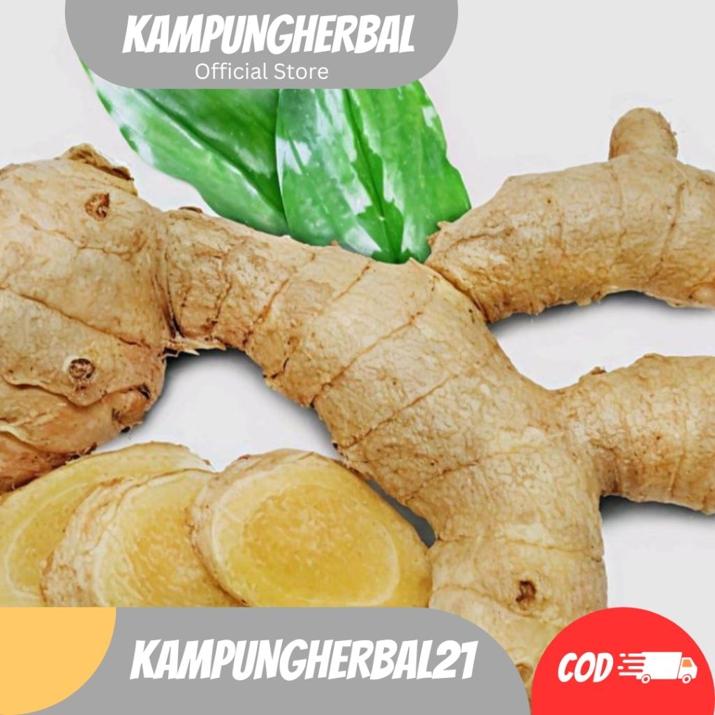 

Macam macam temu atau kunyit- temu putih-temu hitam-temulawak-temu mangga-kunyit masak